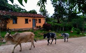 Diamantina, Curralinho Extração